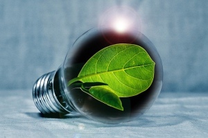 Słoneczne związki ze sztucznego liścia: mobilizacja firm i naukowców, by ulepszyć fotosyntezę