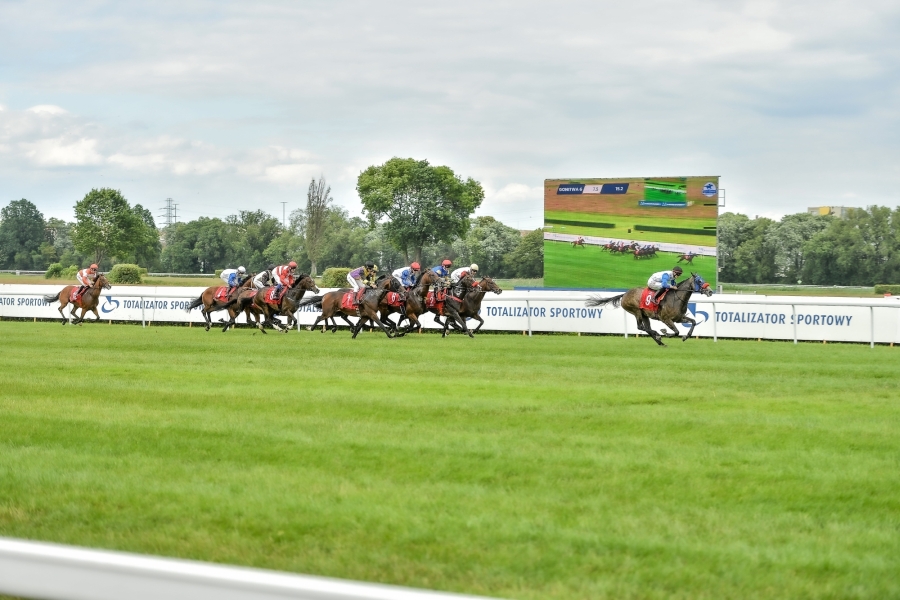Gala Derby 2023 na Torze Służewiec - rywalizacja na torze i emocje na trybunach