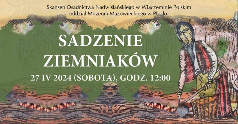 Sadzenie ziemniaków