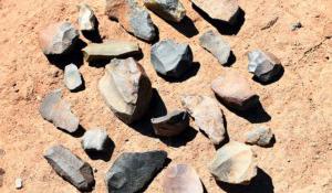 Elbląscy leśnicy odkryli prawdopodobnie osadę z epoki kamienia