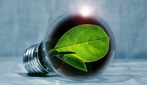 Słoneczne związki ze sztucznego liścia: mobilizacja firm i naukowców, by ulepszyć fotosyntezę