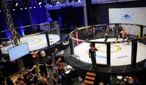 Stowarzyszenie MMA Polska