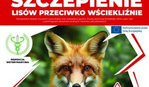 Jesienne szczepienie lisów na terenie województwa mazowieckiego