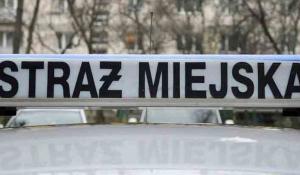 Szczęśliwy finał wyprawy 11-latków