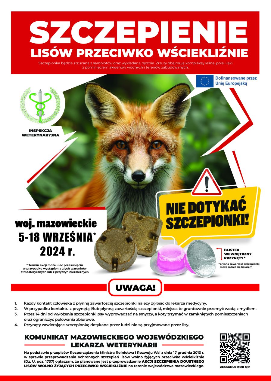 Jesienne szczepienie lisów na terenie województwa mazowieckiego