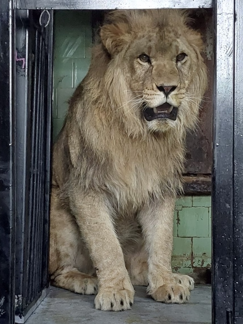 ZOO