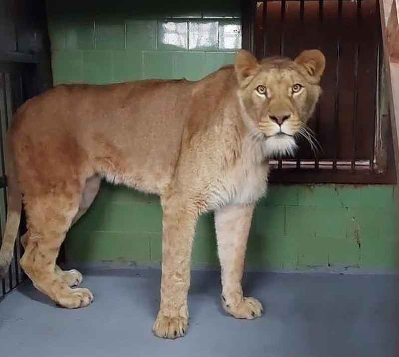 ZOO