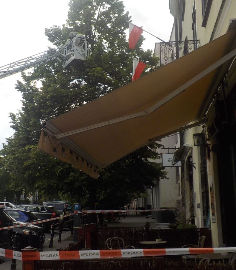  Rój pszczół nad głowami przechodniów