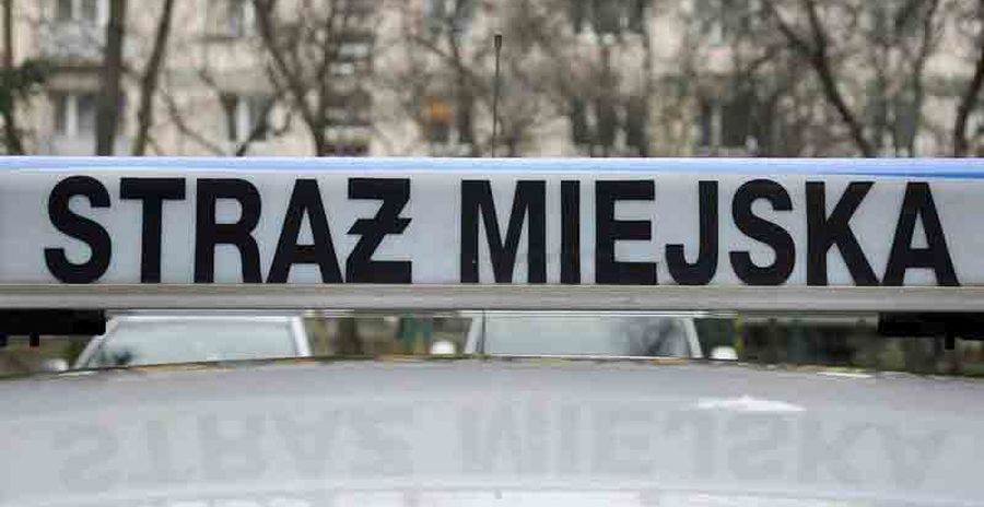 Szczęśliwy finał wyprawy 11-latków
