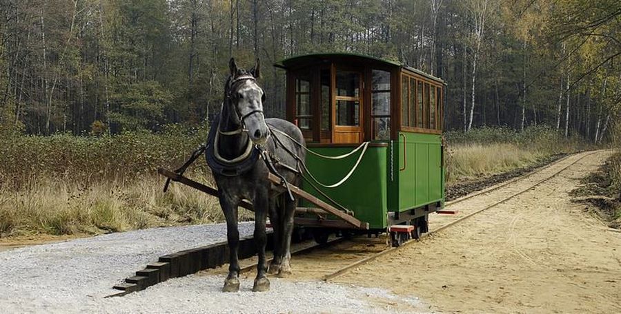 tramwaj konny Mrozy