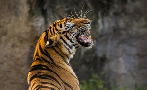 Co i ile jedzą zwierzaki w Warszawskim ZOO?