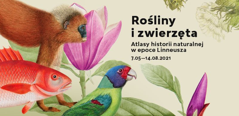 Wilanów