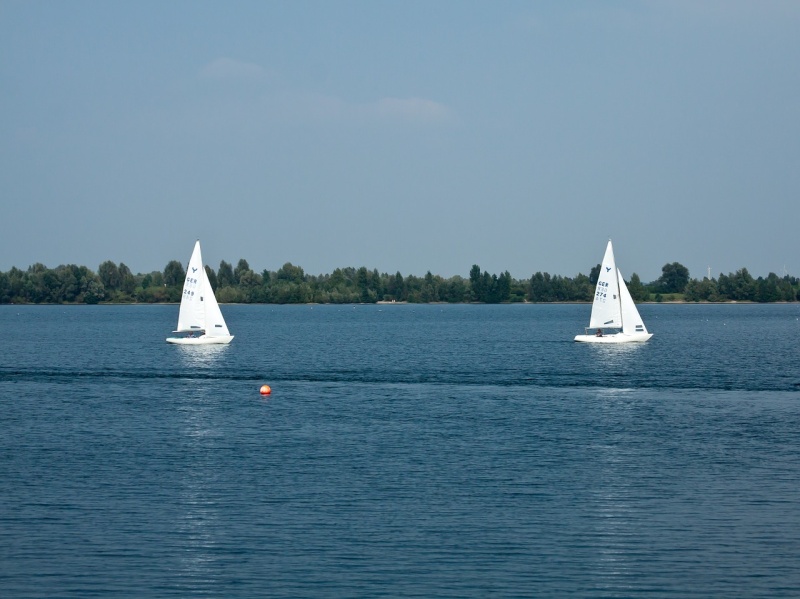 żagle
