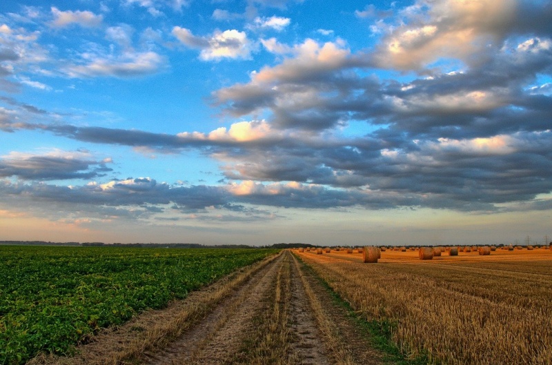 Ukraina
